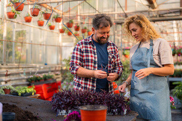 Husband and wife discussing gardening techniques among vibrant plants in their greenhouse.