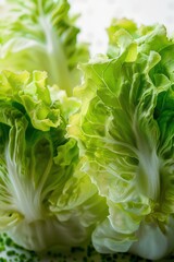 Fresh iceberg lettuce. Isolated on white background. Close-up shooting