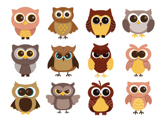 Fototapeta premium Owl Illustration Set