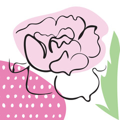 Rose in black line art illustration with leaf and spot motif. Contemporary abstract flower outline within transparent background. Colorful shape design for poster, wallet, wallpaper, surface design.