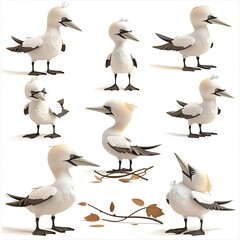 Little Gannet Bird Cute character multiple posses and expression children's book illustration style