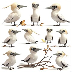 Little Gannet Bird Cute character multiple posses and expression children's book illustration style