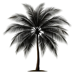 palm tree silhouette on transparent bg