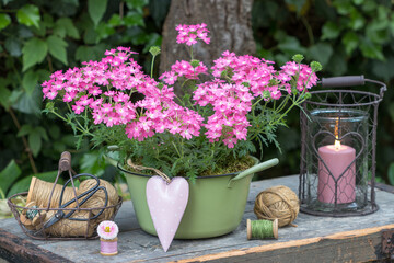 Garten-Arrangement mit pink Verbena im Topf und vintage Laterne