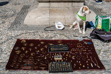 Dog and street stall selling jewelry and costume jewelery items, Granada, Spain.