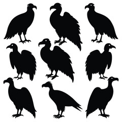 Set of Vulture animal black Silhouette Vector on a white background