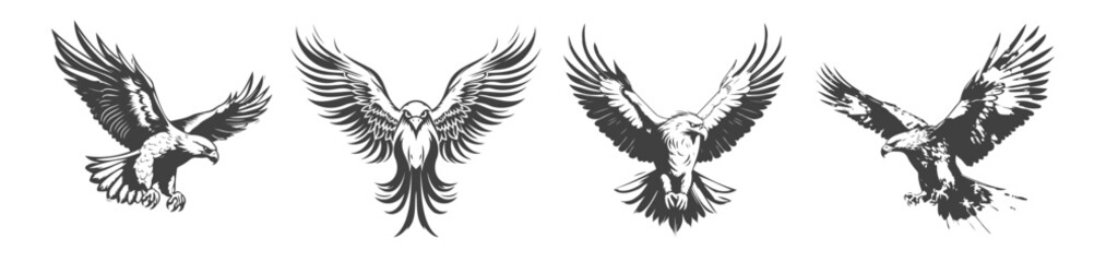 Fototapeta premium set of eagle silhouettes, black and white vector design,