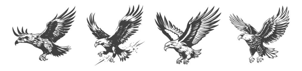 Obraz premium set of eagle silhouettes, black and white vector design