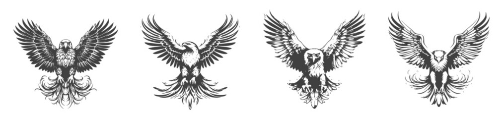 Obraz premium set of eagle silhouettes, black and white vector design,