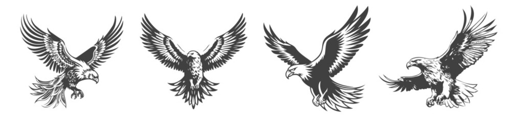 Obraz premium set of eagle silhouettes, black and white vector design, 