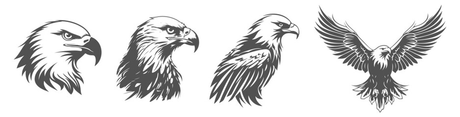 Obraz premium set of eagle silhouettes, black and white vector design,