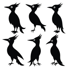 Set of Woodpecker animal black Silhouette Vector on a white background