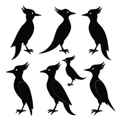 Set of Woodpecker animal black Silhouette Vector on a white background