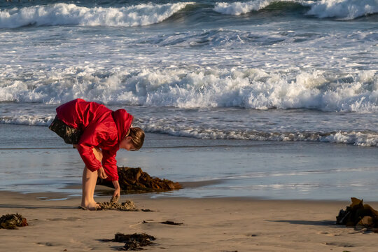Child Digging for Sandcrabs Near Water in Late Afternoon at Huntington Beach, California, USA, horizontal