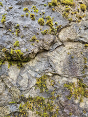 Moss on rock surface. Mobile photography. Close up texture for a background.