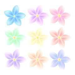 7 Realistic cherry blossoms on white background