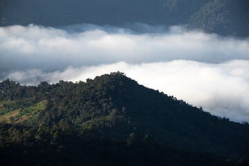 Early morning landscape. Colorful sunrise on a foggy day over mountains and a forest.