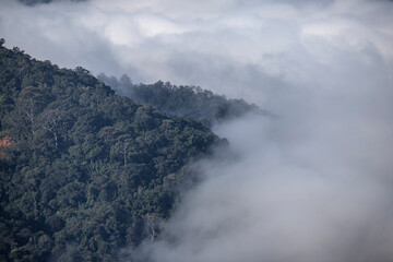 Early morning landscape. Colorful sunrise on a foggy day over mountains and a forest.