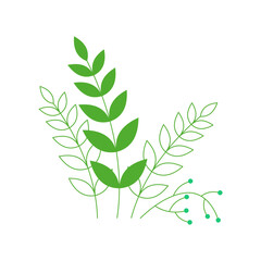 Vintage botanical leaf collection on white background