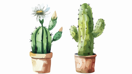 Watercolor cactus with white flower in pot isolated o