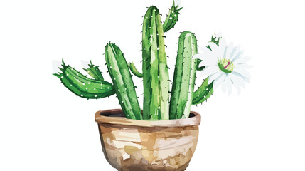 Watercolor cactus with white flower in pot isolated o