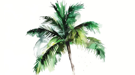Watercolor coastal green palm tree hand painted isolated