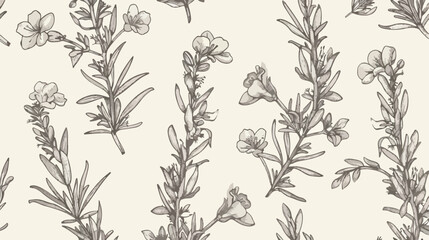 Natural seamless pattern with outline rosemary plants