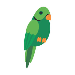 Hand drawn exotic bird on white