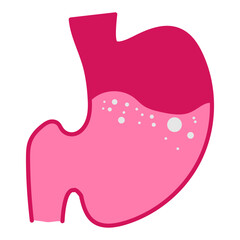 Stomach Icon, Simple Icon Vector Design