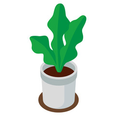Organic flat houseplant illustration on white background