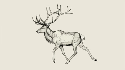 Outline drawing of walking male deer reindeer hart or