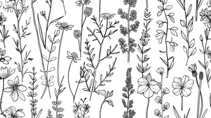 Outlined botanical pattern with wild flowers. Seamles