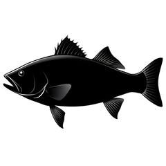 Fototapeta premium silhouette fish seabass on transparent bg
