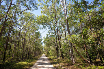 dirt track road through Australian bush countryside, rural remote distance travel journey...