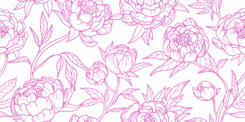 Peony flowers, seamless pattern. Outlined floral blossoms, botanical repeating print, hand-drawn retro style. Blooms background, texture design for wallpaper, textile, wrapping. Vector illustration