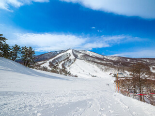 Fototapeta premium Snow slopes on a sunny day (Madarao Kogen, Nagano, Japan)