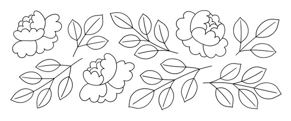 Hand-drawn rose flowers and leaves
