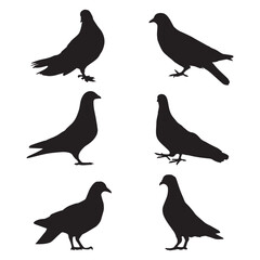 Pigeon Silhouette Art Vector Illustration Bundle