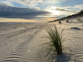 sand dunes and grass on the beach,on the Polish Baltic Sea coast