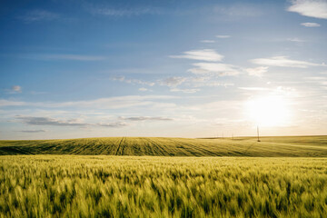 Amazing landscape of agricultural field. Rural non urban scene