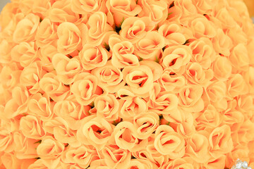the colorful roses background in white background