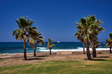 palm trees on the Mediterranean coast and motor yacht on the island of Cyprus