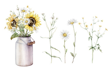 Watercolor set of bouquet of daisy and sunflower flowers in metal can. Flora botanical plants. Hand drawing illustration on isolated background. Composition from summer meadow flowers.