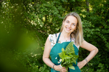 pretty, attractive woman in her early 40s, collects wild herbs in the garden, meadow, forest for a salad, for cooking, eating, for smoothies