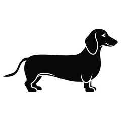 dachshund  Dog silhouette vector illustration on white-background