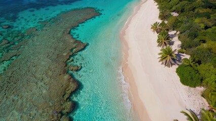 view of beach with palm trees and blue water sea