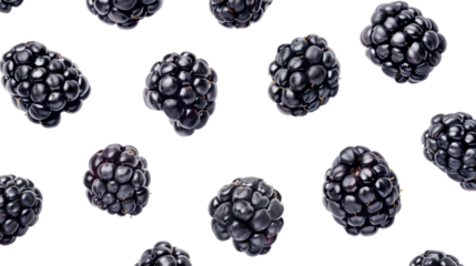Midnight Berries: A Luscious Collection of Blackberries on a Snowy Canvas