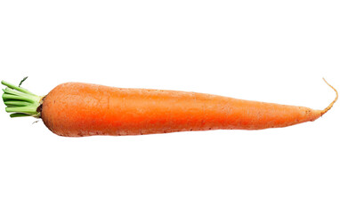 Photorealistic whole carrot isolated on a transparent background. Side view. Organic food design element PNG cutout collection. Garden Lifestyle. Food, cooking, vegetable diet concept.