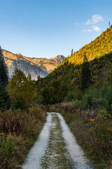 Jamnicka dolina valley with Ostry Rohac mountain peak on the background in Western Tatras mountains in Slovakia © honza28683