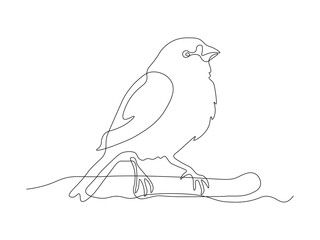 abstract canary,sparrow,bird,logo,continuous single line art hand drawing sketch